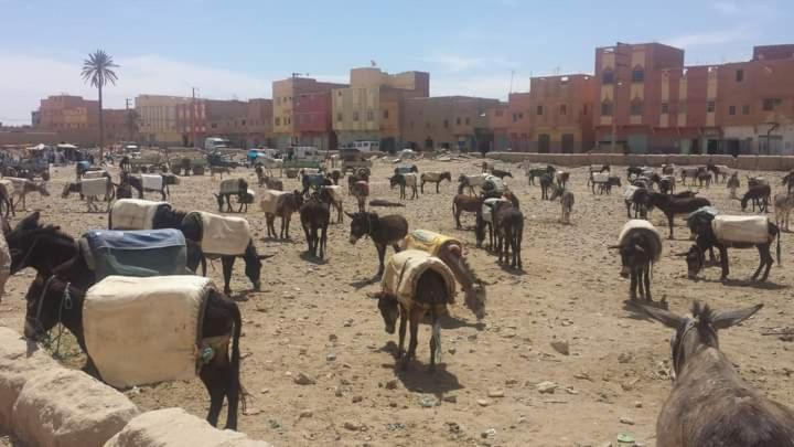 Maison Bedouin Merzouga Exterior photo